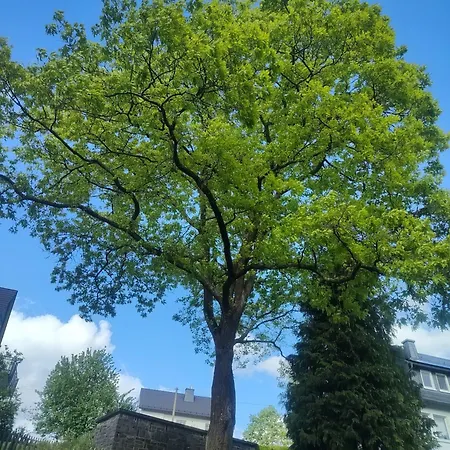 Bachlauf Und Waldblick Stuenzel דירה *
